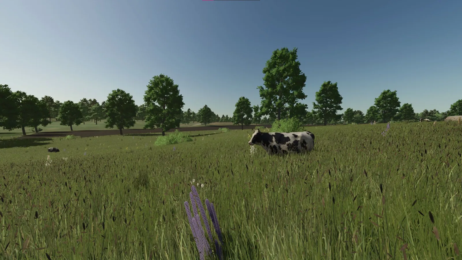 Ruhwinkel FS25 - screenshot 3