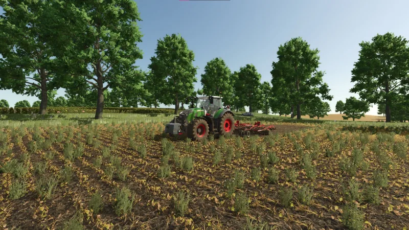 Ruhwinkel FS25