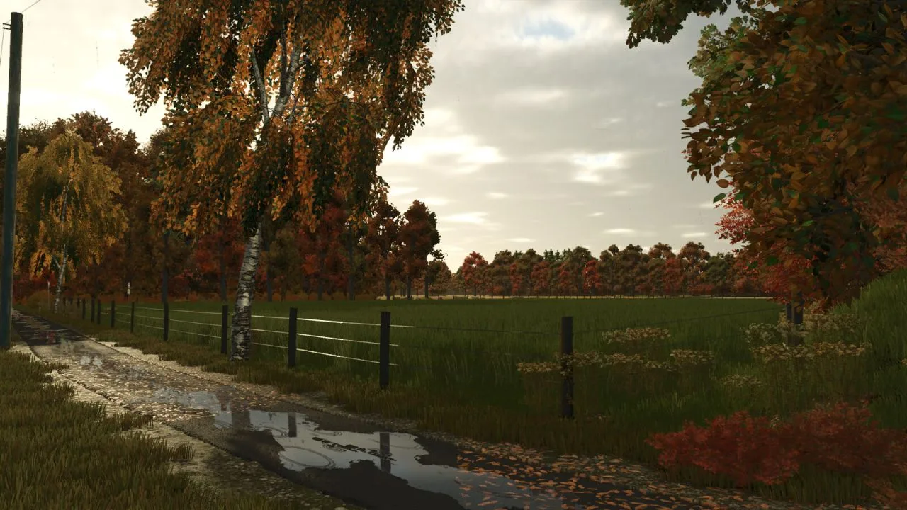 Diepholz 25 FS25 - screenshot 3