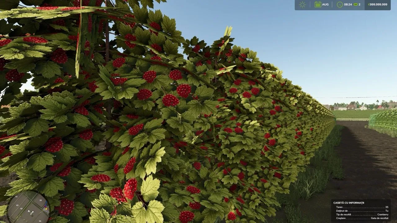 Zielonka Real Orchards - Multifruit FS25 - screenshot 2