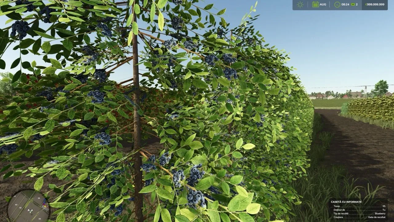Zielonka Real Orchards - Multifruit FS25 - screenshot 3