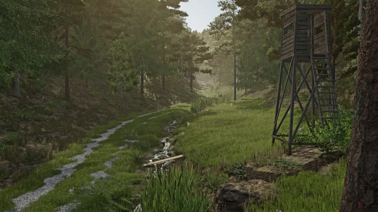 Palatinate Forest FS25 - screenshot 1
