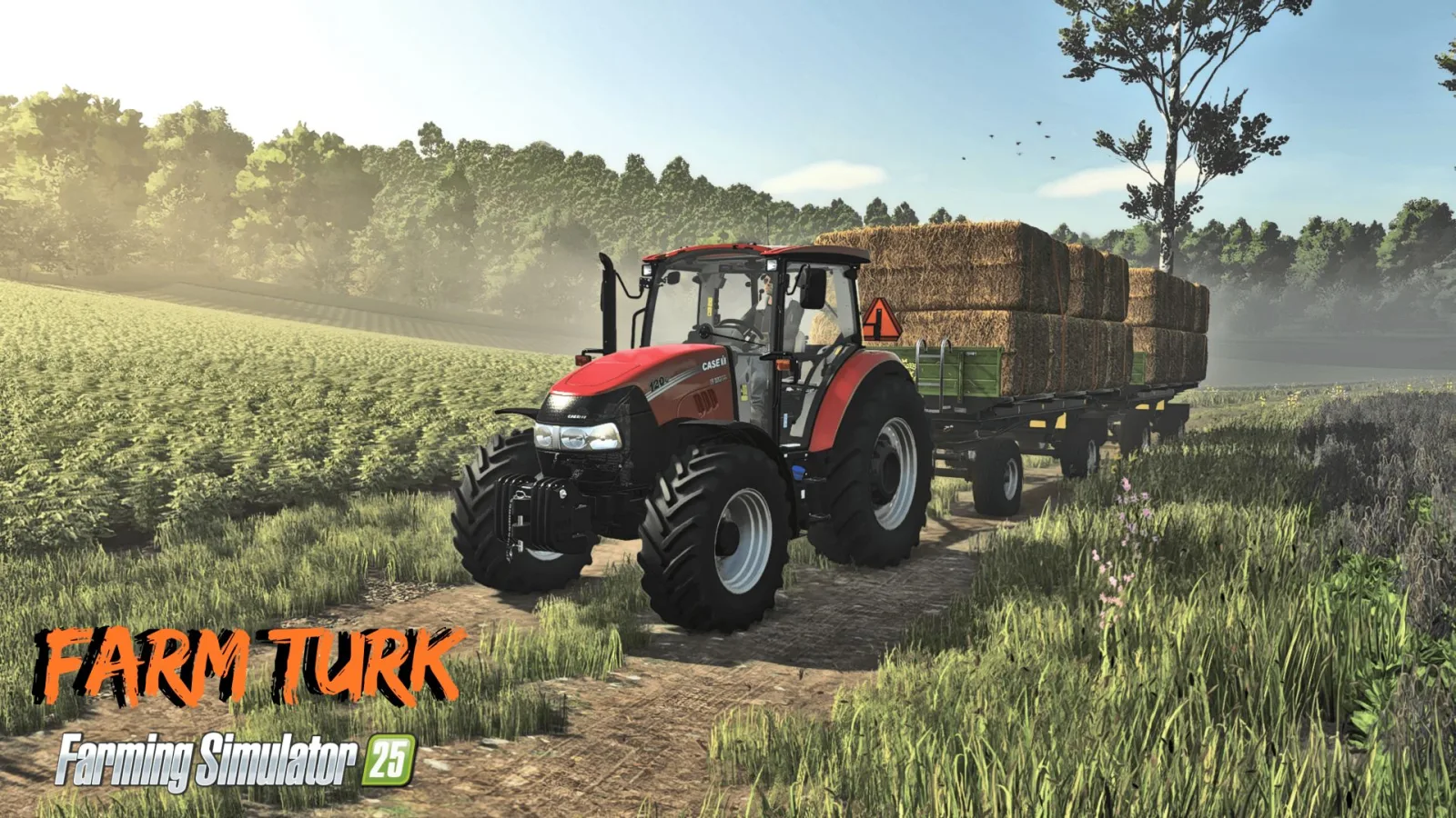 Farm Turk Map FS25 - screenshot 2