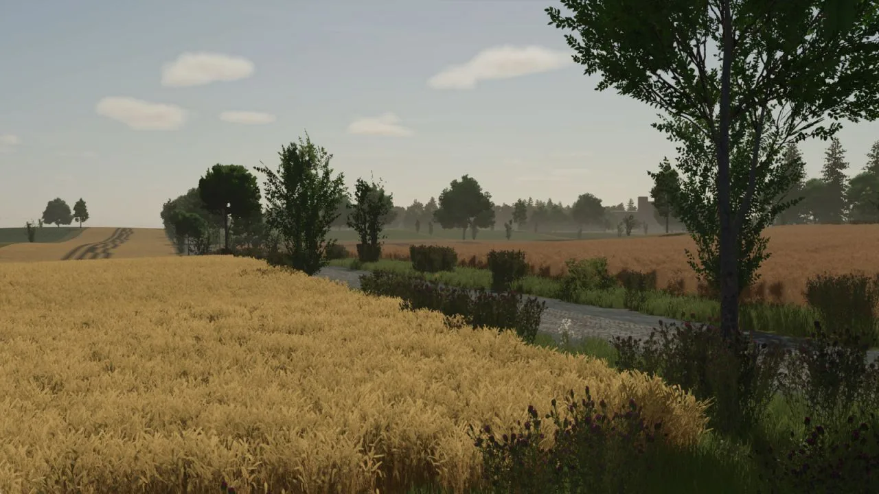 Borowiny FS25