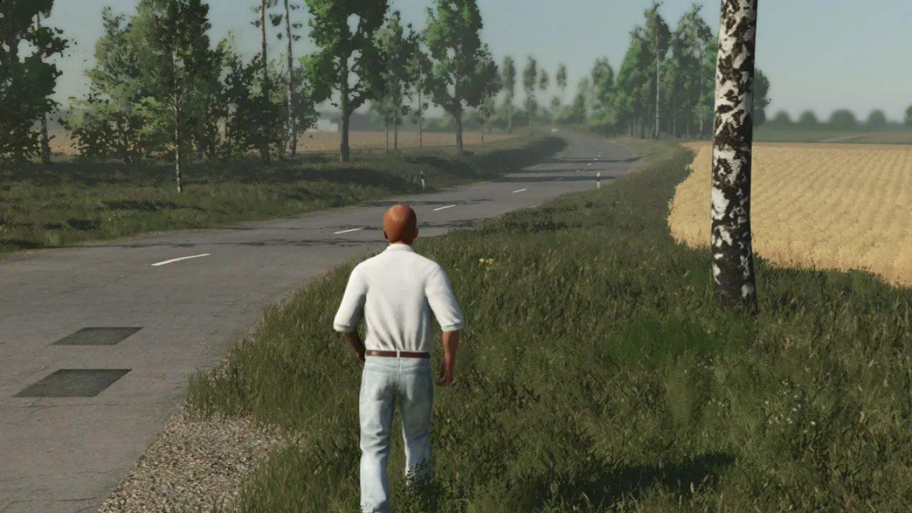 Player Movement Fix FS25