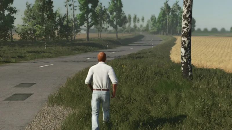 Player Movement Fix FS25
