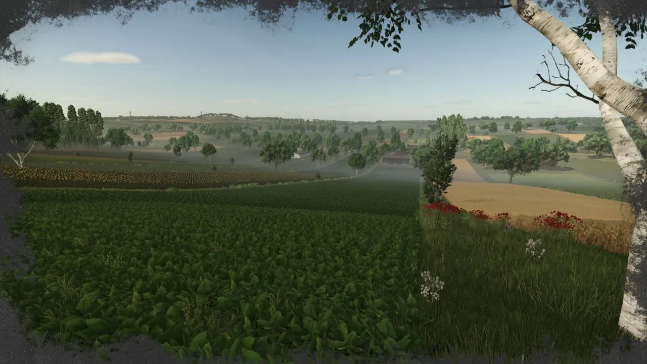 Polanki FS25 - screenshot 3