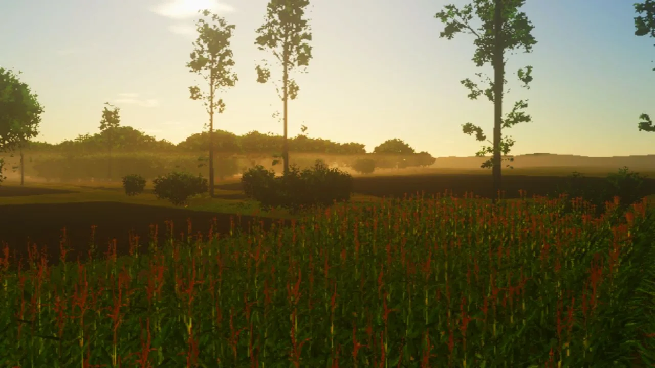 TSLIPYMTS FS25 - screenshot 1