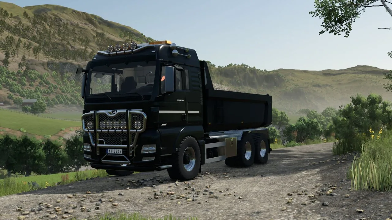 Man TGX 26.580 FS25