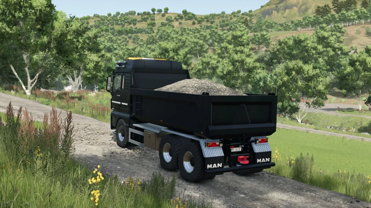 Man TGX 26.580 FS25