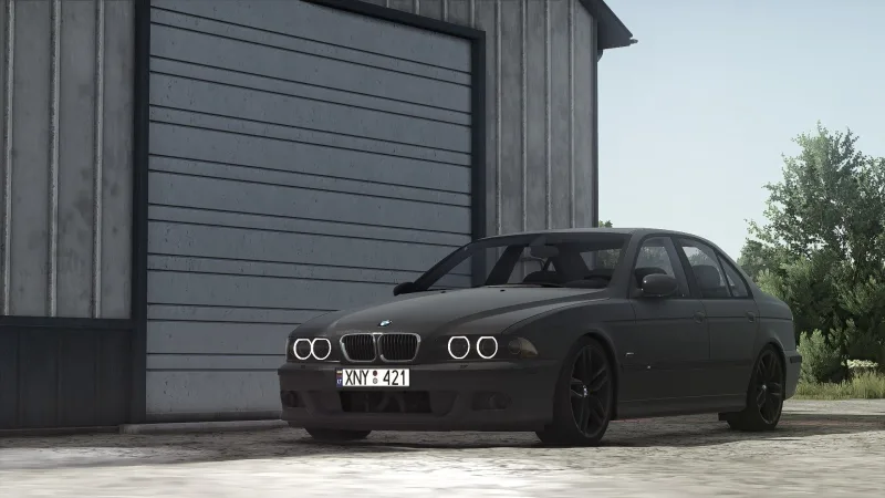 BMW E39 FS25
