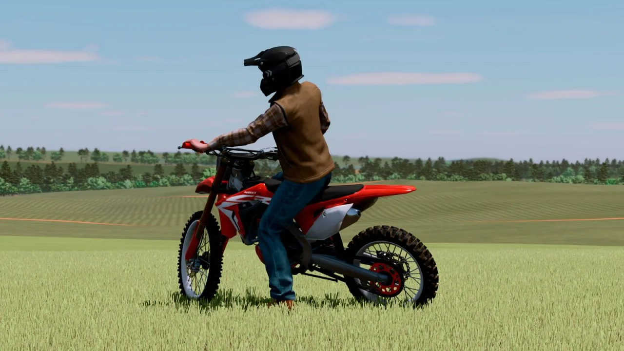 LIZARD CRF 450R FS25 - screenshot 2