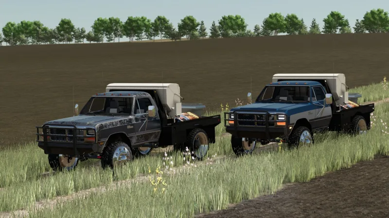 Dodge W250 1993 FS25