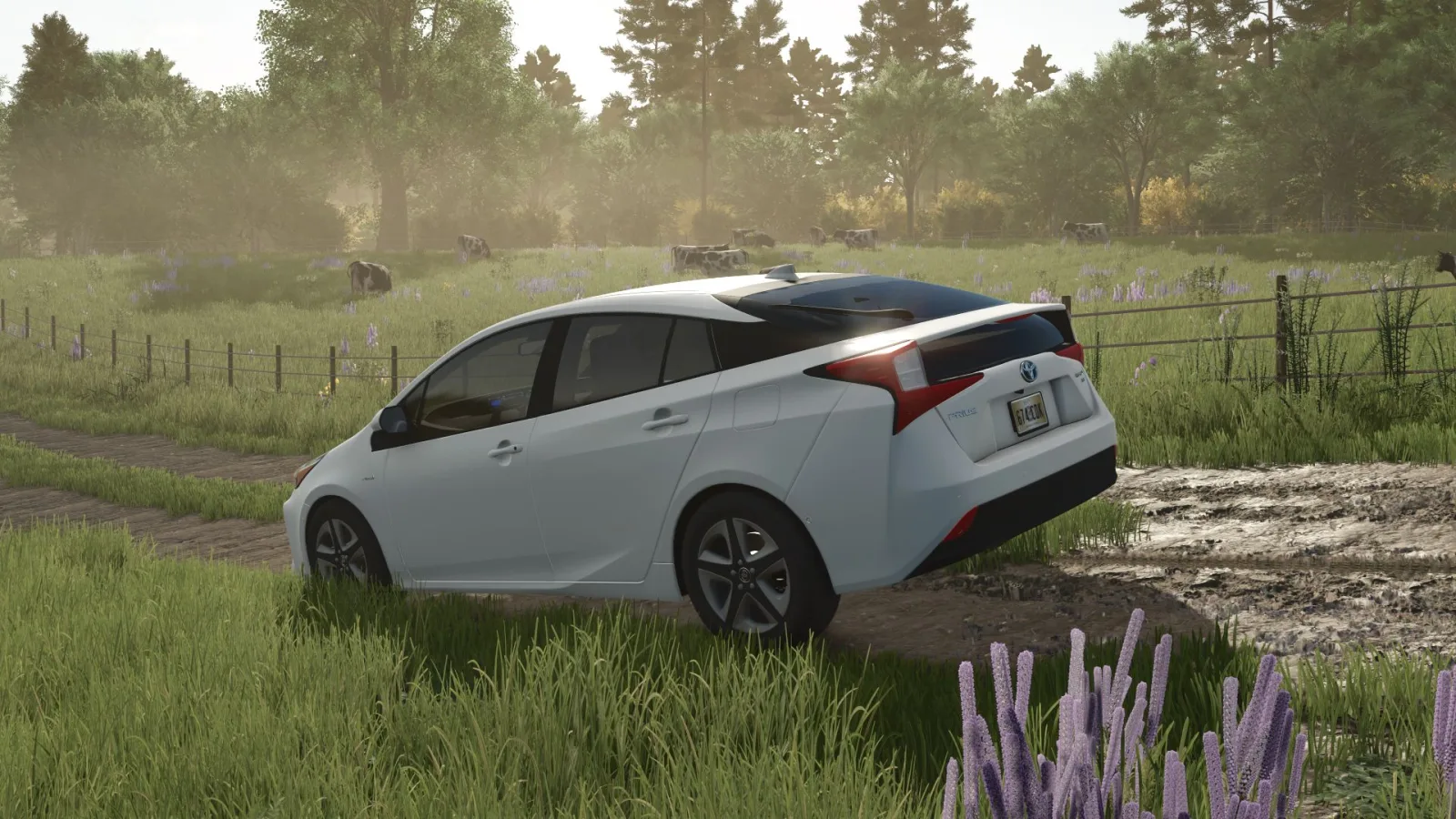 2019 Toyota Prius XLE FS25 - screenshot 2