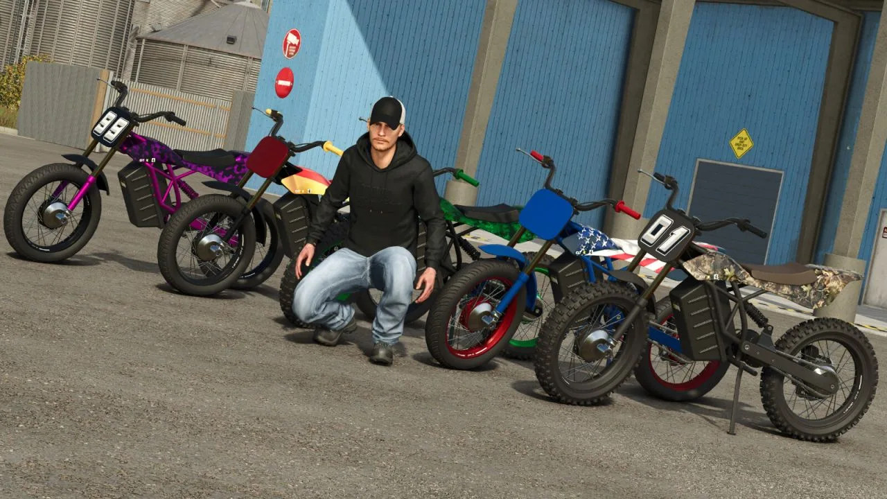 Lizard DT-E FS25 - screenshot 3