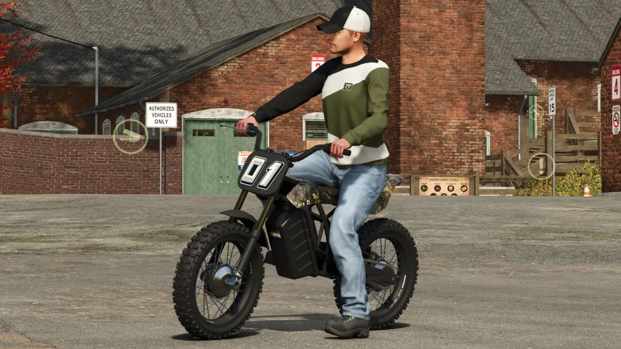 Lizard DT-E FS25 - screenshot 1