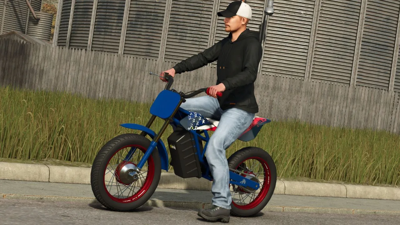 Lizard DT-E FS25 - screenshot 2