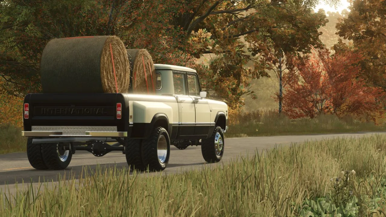 International Series 200 FS25 - screenshot 3