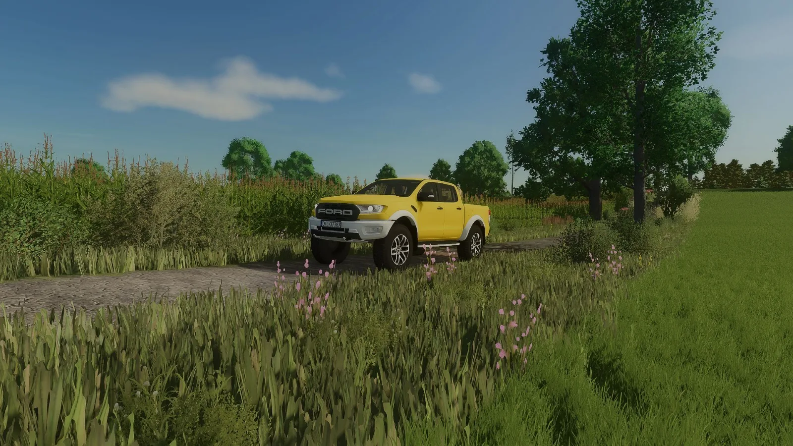Ford Raptor 4x4 FS25