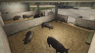 Small Balkan Pig Barn v1.0