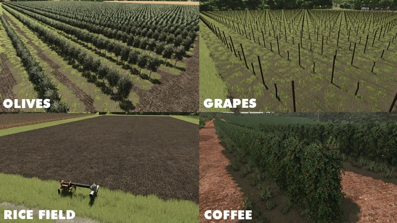 Auto Grove FS25 - screenshot 3
