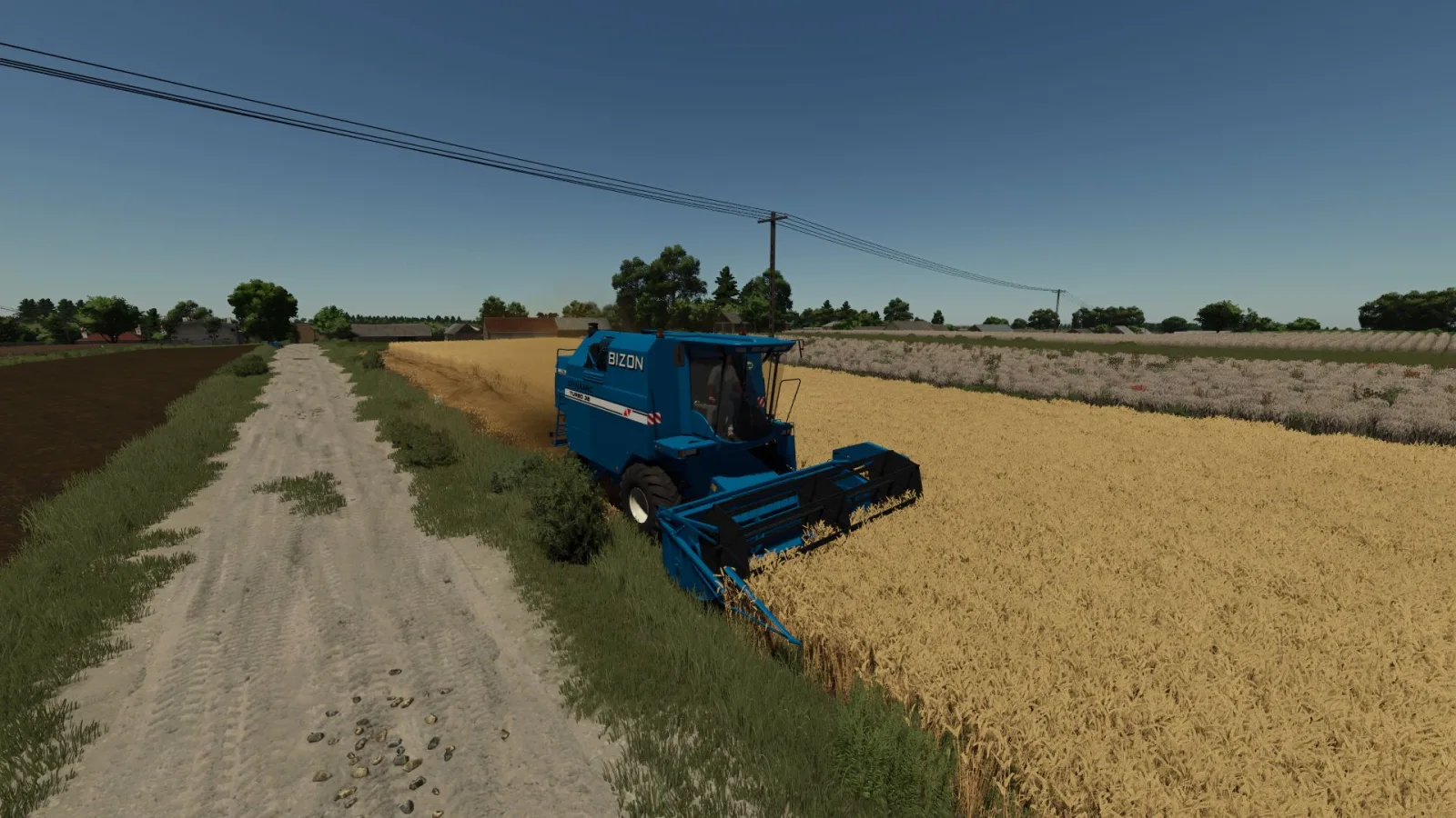 Bizon Dynamic FS25