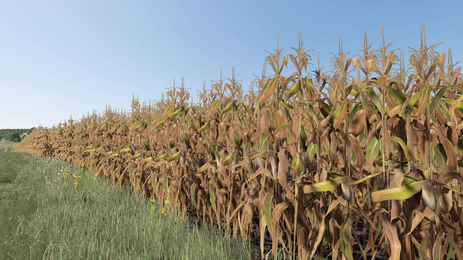 Improved Corn Plants (Second Version) FS25
