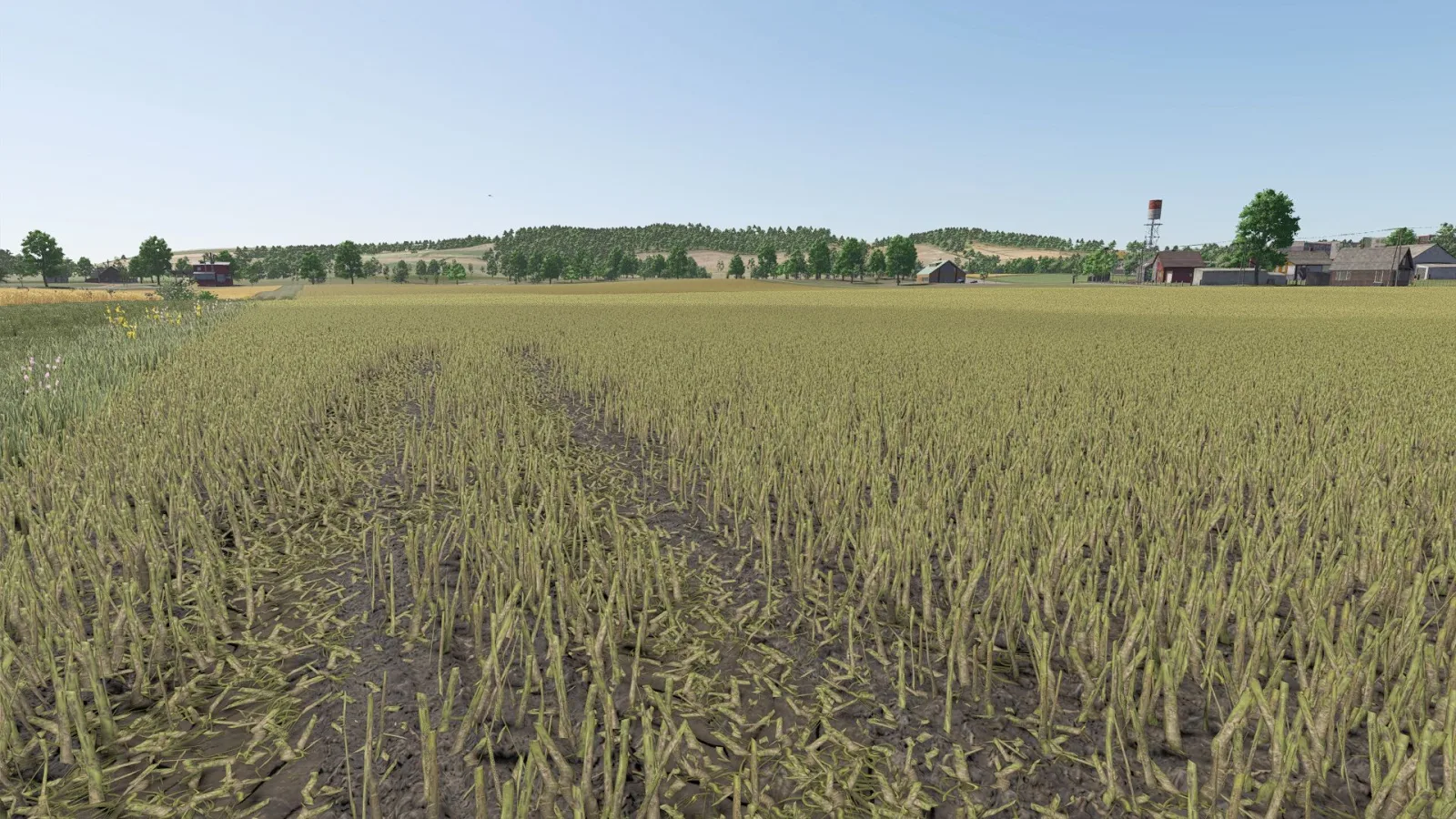 Improved rapeseed plants FS25