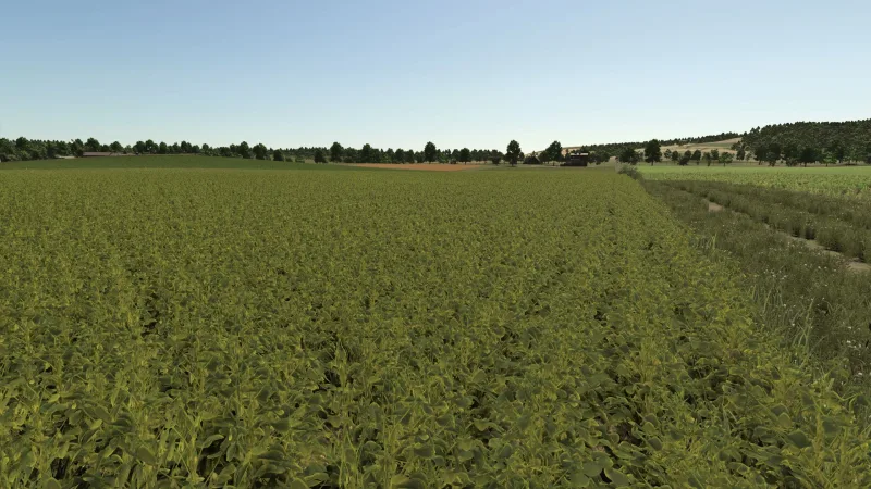 Improved soybean plants FS25