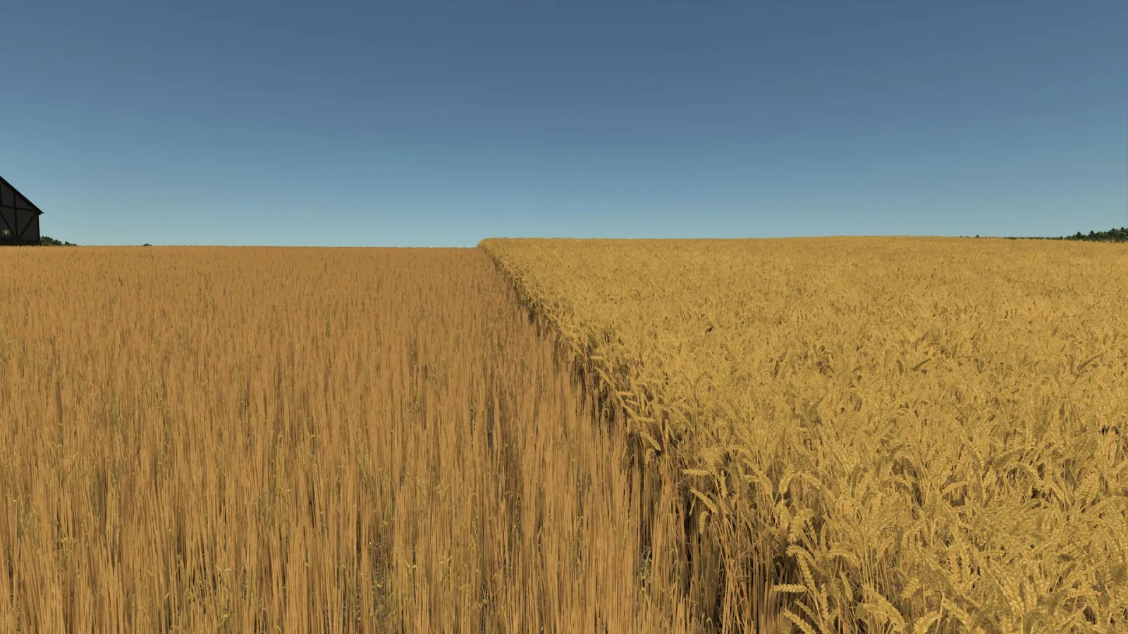 Improved Wheat XML FS25