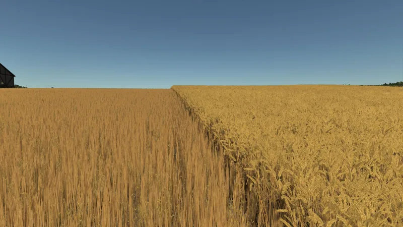 Improved Wheat XML FS25