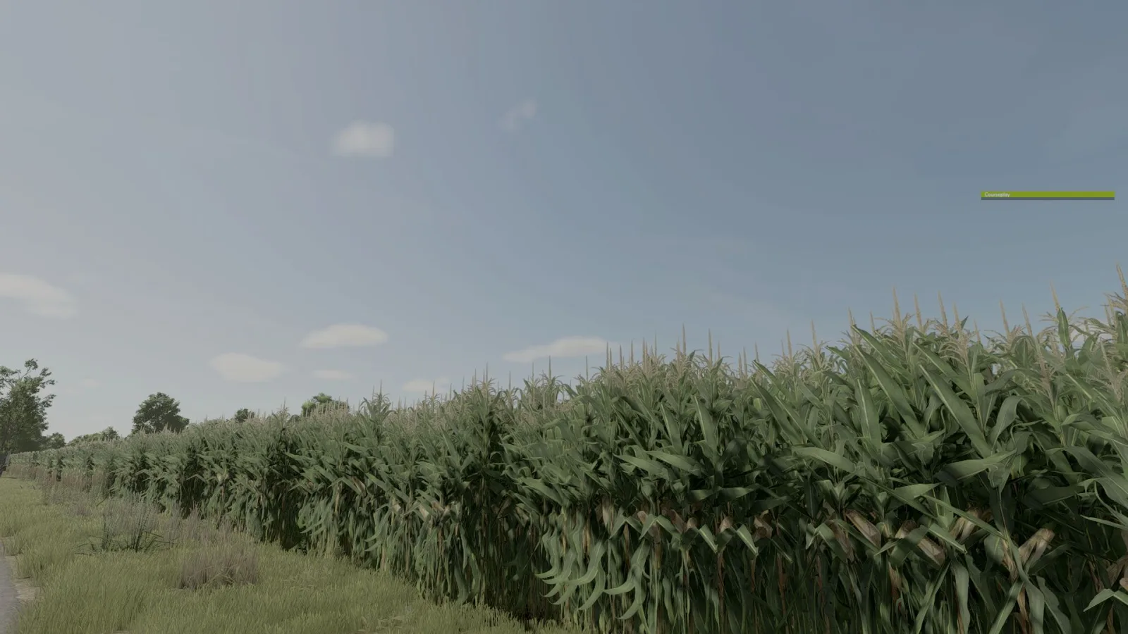Improved Corn Plants Three FS25