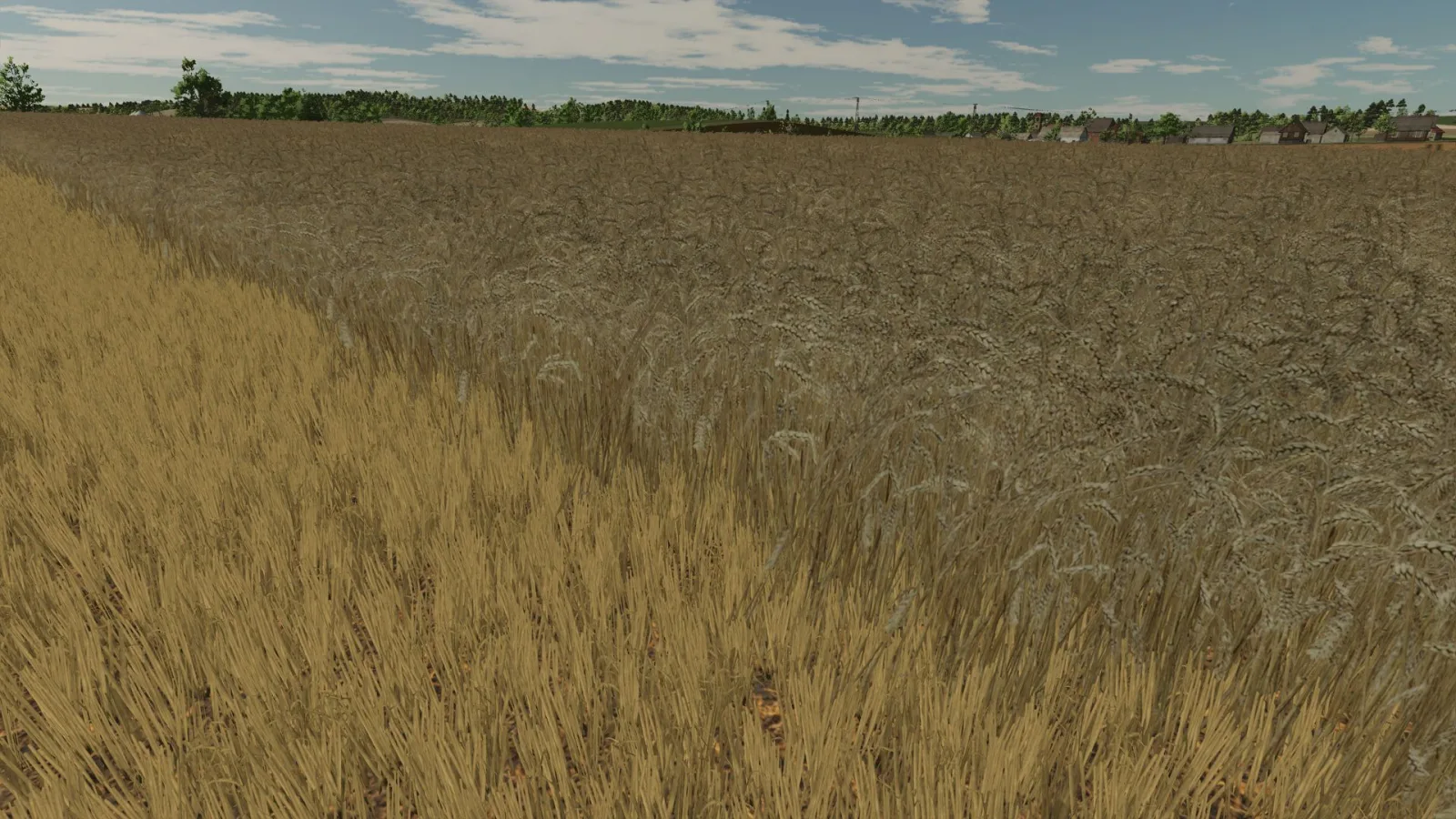 Realistic texture of ripe wheat FS25 - screenshot 1