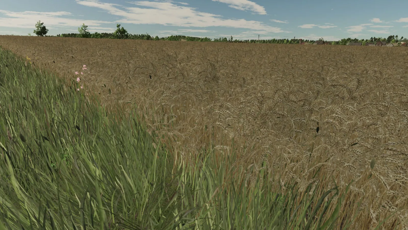 Realistic texture of ripe wheat FS25 - screenshot 2