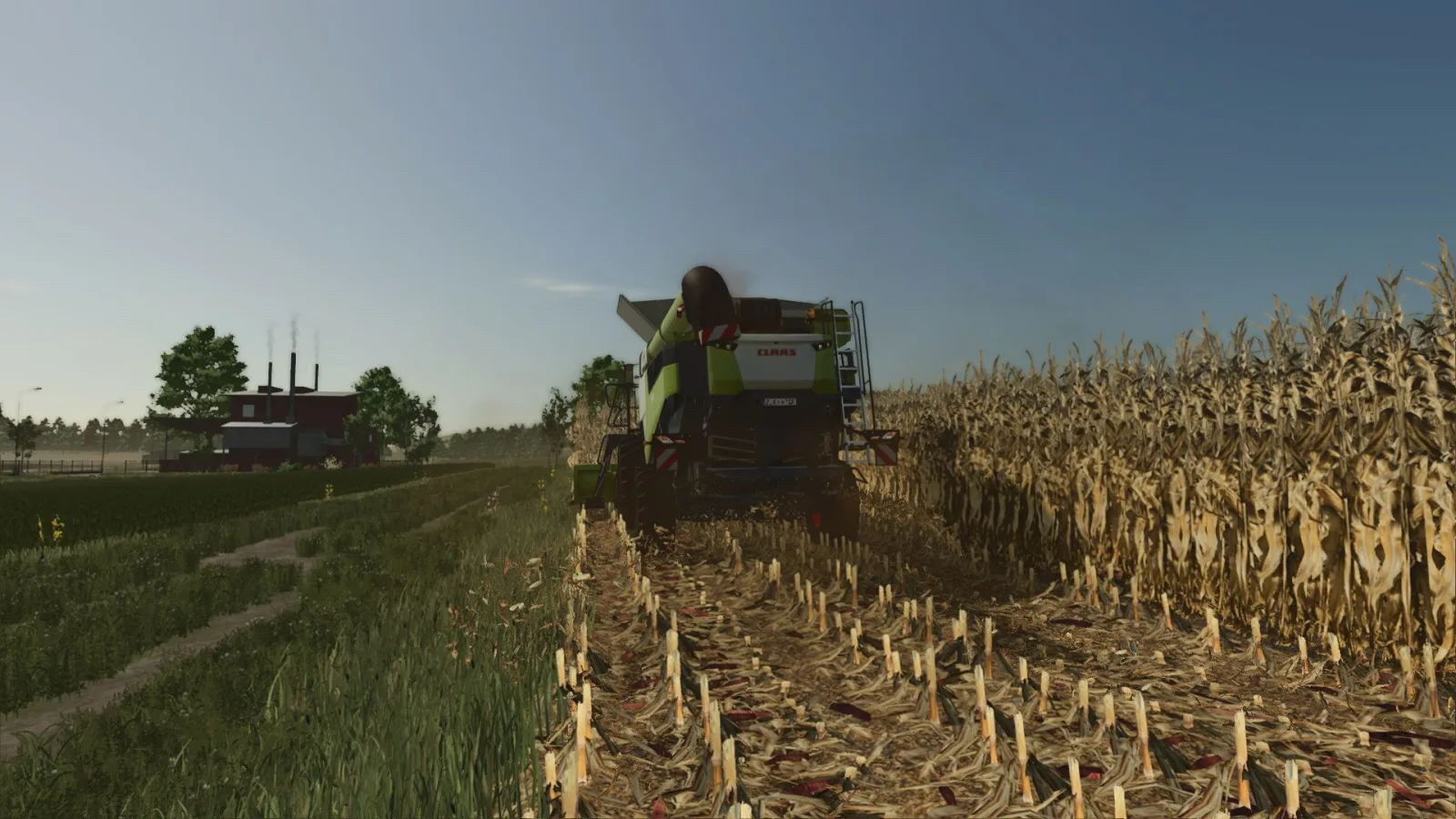 Realistic dry corn texture FS25 - screenshot 3