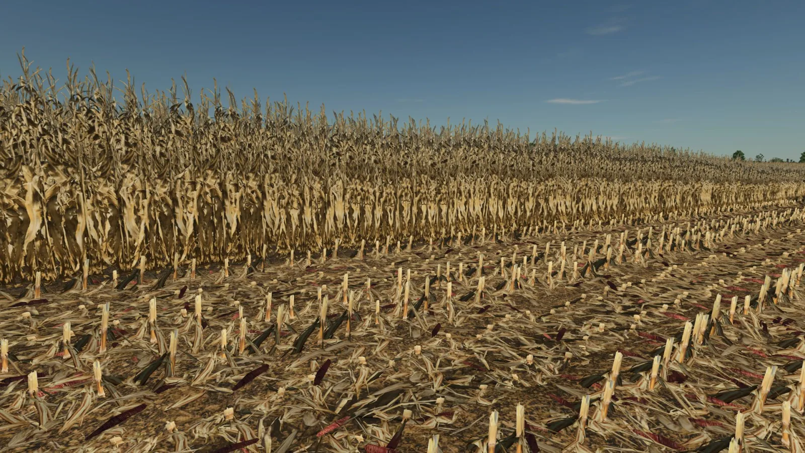 Realistic dry corn texture FS25 - screenshot 1