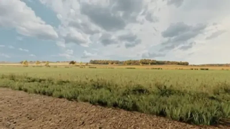 Photorealistic Environment