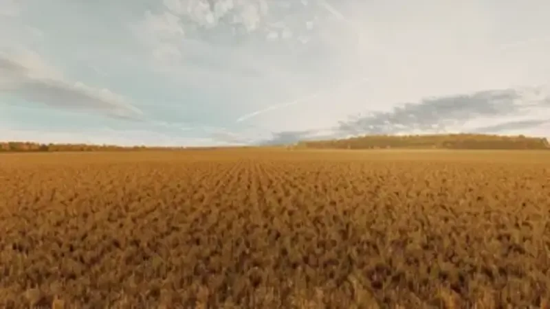 Photorealistic Environment - screenshot 2