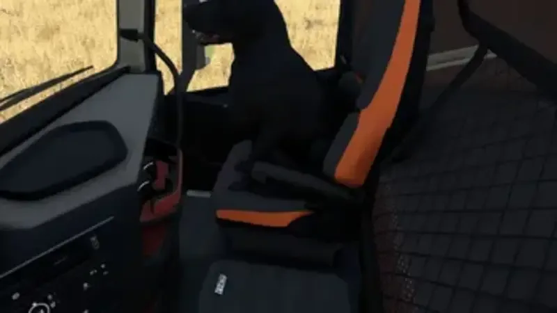 Dog Companion - screenshot 2