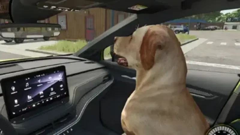 Dog Companion - screenshot 1