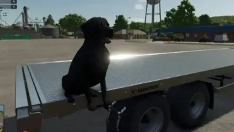 Dog Companion - screenshot 3