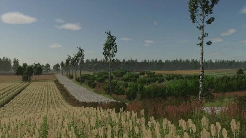 Borowiny Beta 2 - screenshot 3