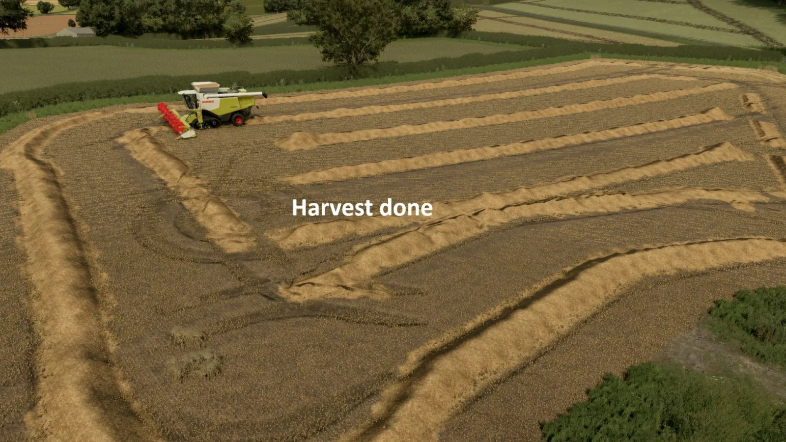 Volunteer Crops and Weeds FS25 - screenshot 3