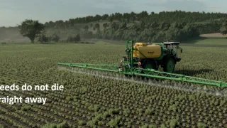 Volunteer Crops and Weeds FS25