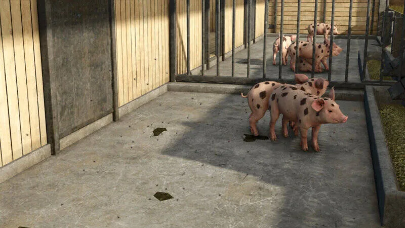 Livestock Flies - screenshot 3