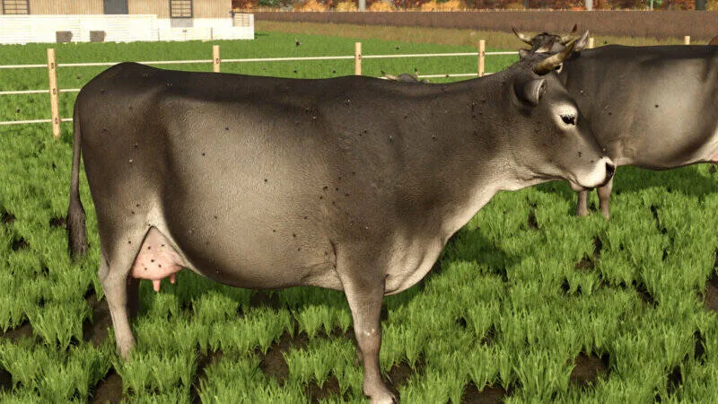 Livestock Flies - screenshot 1