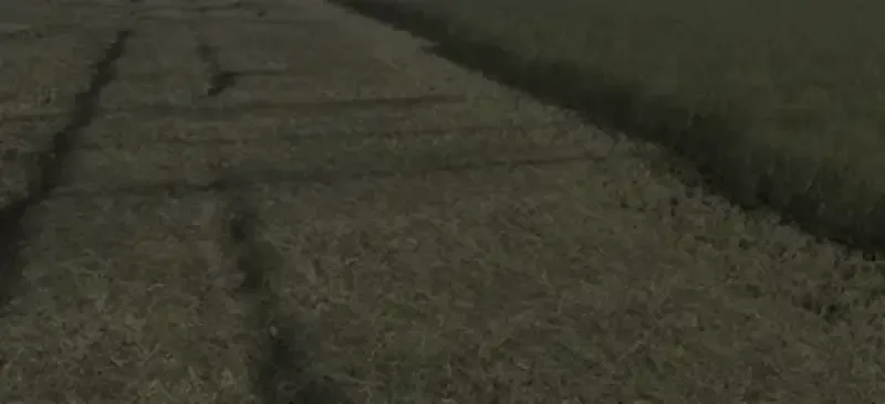 Grass Texture - screenshot 2