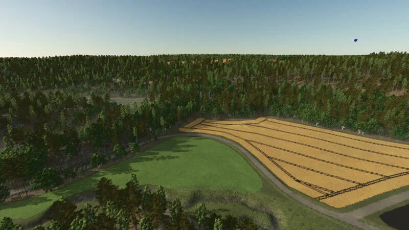 Lieshof 4x Map