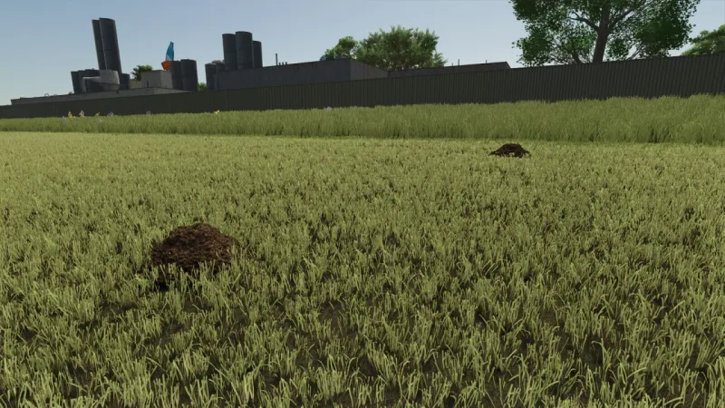 Dynamic Molehills FS25