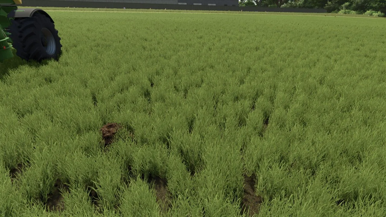 Dynamic Molehills FS25 - screenshot 3